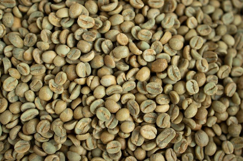 Close-up view of fresh, green coffee beans ideal for stock photography.
